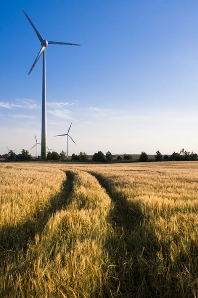 Turbiny wiatrowe na polu — Zdjęcie stockowe