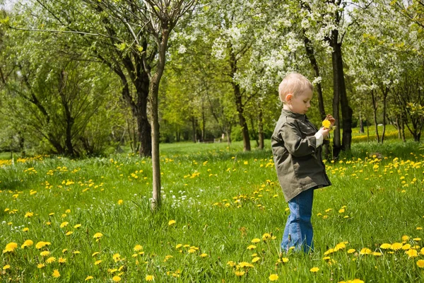 Junge spielt mit Blumen — Stockfoto