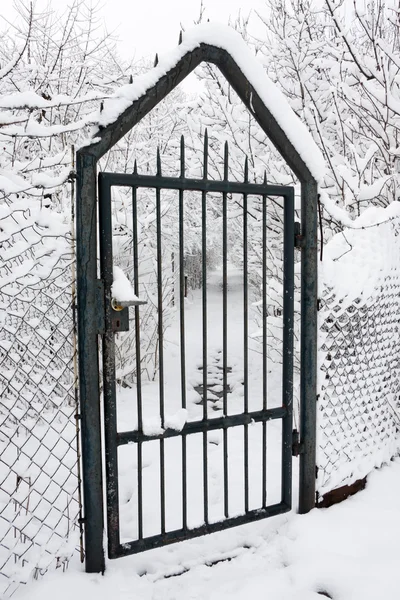 Puerta metálica cubierta de nieve — Foto de Stock