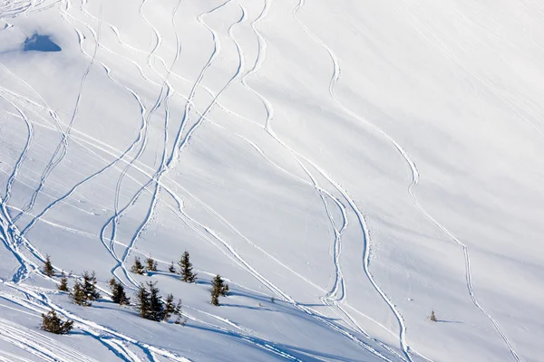 Senderos de esquí en una montaña, fuera de pista —  Fotos de Stock