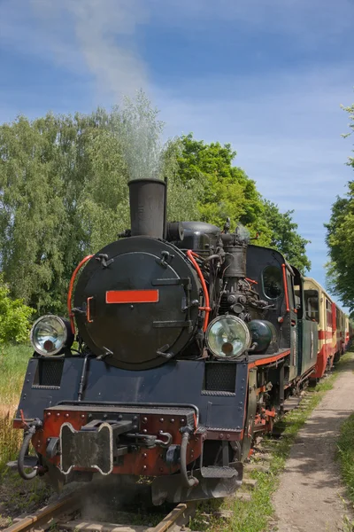Vintage buhar motoru tren — Stok fotoğraf