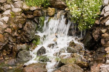 Small waterfall and flowers clipart