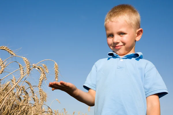 Хлопчик вказує пшеничне вухо — стокове фото
