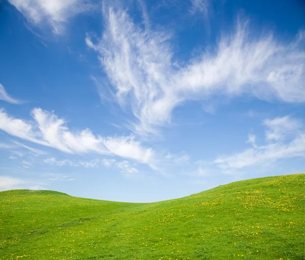 Campo de grama verde contra o céu azul — Fotografia de Stock