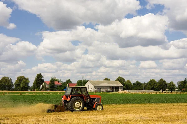 Тракторный сбор пшеницы в летний день — стоковое фото