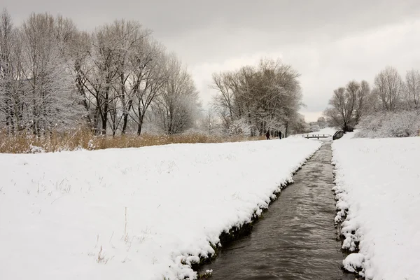 겨울에 작은 강 — 스톡 사진