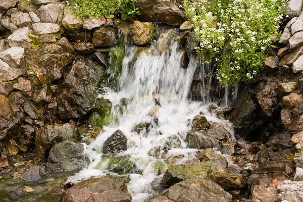 stock image Small waterfall and flowers