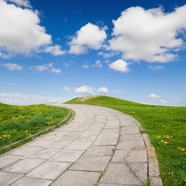 Chodník na zelené trávě s modrou oblohou — Stock fotografie