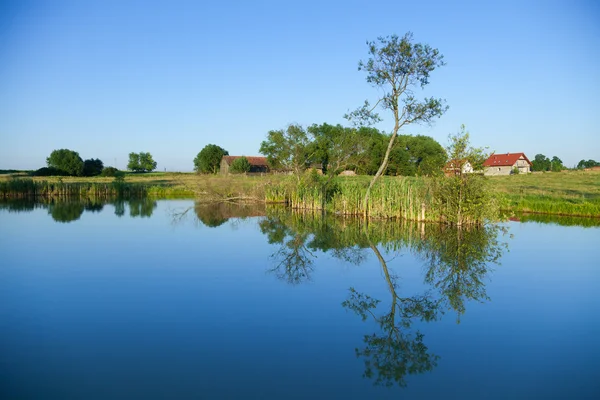 Bela reflexão de árvore em pequeno lago — Fotografia de Stock