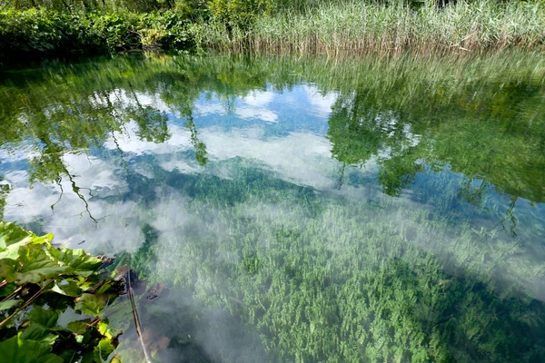 stock image Water Reflection