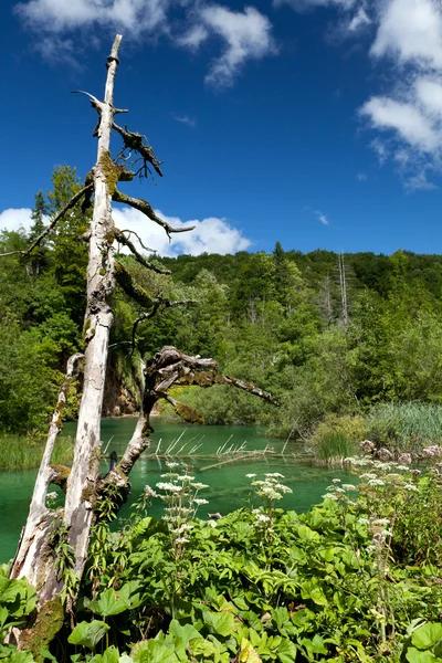 Plitvice Milli Parkı