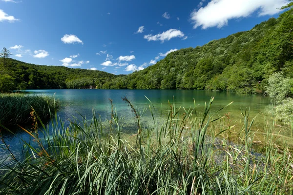 Plitvice Milli Parkı