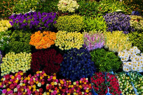 다채로운 꽃 배경. — 스톡 사진