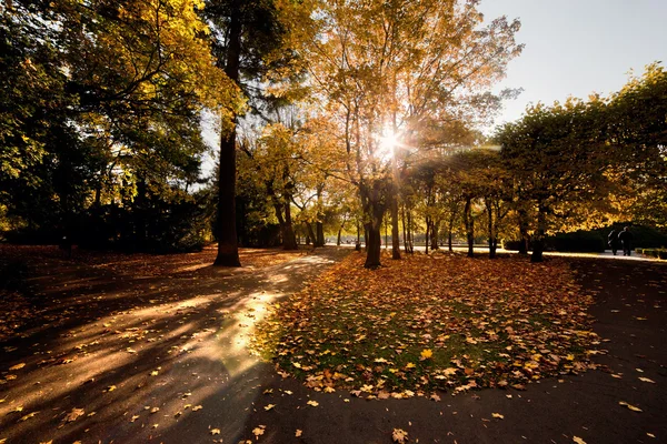 Farbenfroher Herbst Herbst Park — Stockfoto