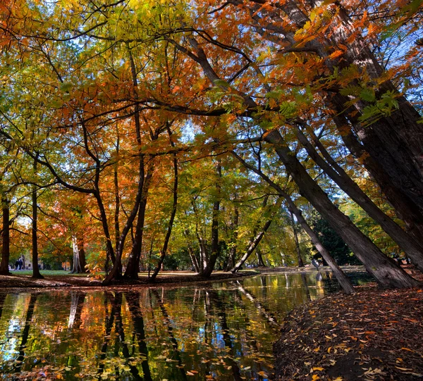 Аллея с опадающими листьями в осеннем парке — стоковое фото