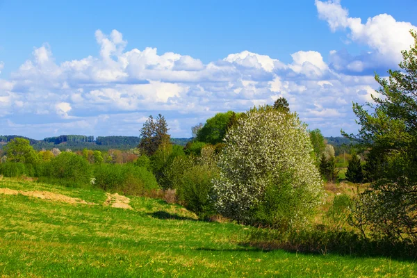 Ländliche Frühlingslandschaft — Stockfoto