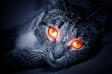 Cat with scary red glowing eyes clipart