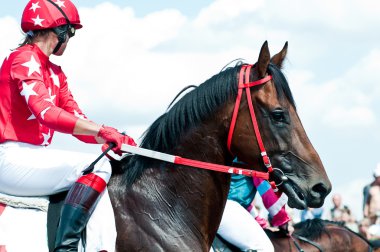 Jockey on racing horse before the start clipart