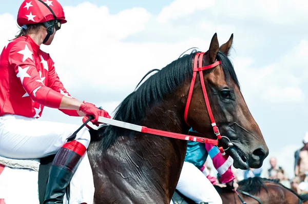 Jockey sobre caballo de carreras antes del comienzo — Foto de Stock