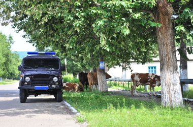 Russian rural police car and cow clipart