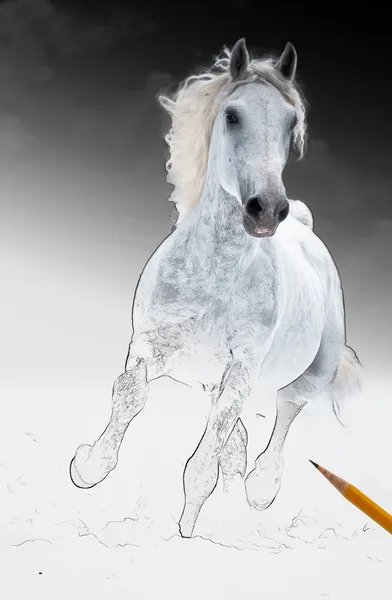 Runs white horse get living from arts scetch — Stock Photo, Image