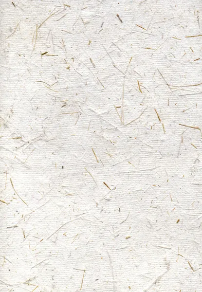 Рисовий папір ручної роботи, сканування текстури — стокове фото