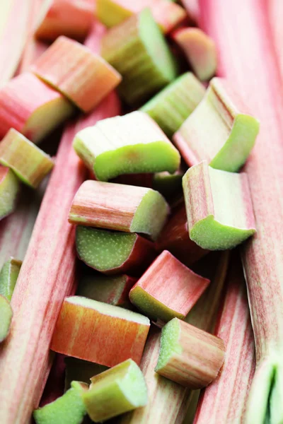 stock image Fresh rhubarb