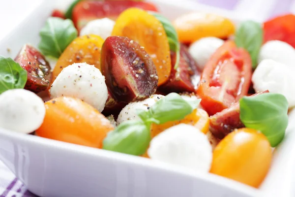 Tomaten-Mozzarella-Salat — Stockfoto