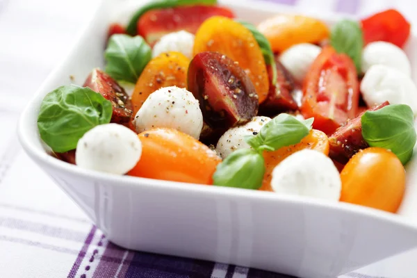 Rajčatový a mozzarellový salát — Stock fotografie