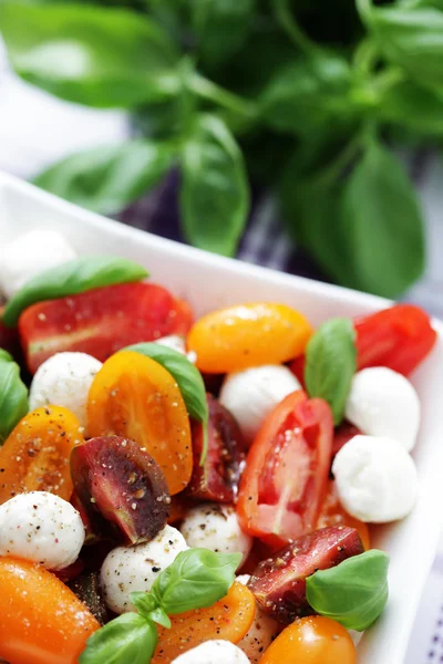 Sałatka pomidorowa i mozzarella — Zdjęcie stockowe