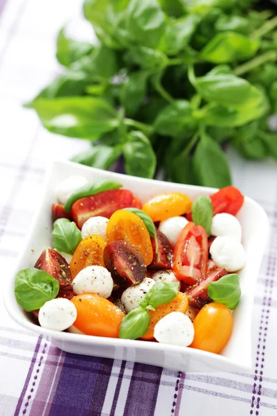 토마토와 모차렐라 샐러드 — 스톡 사진