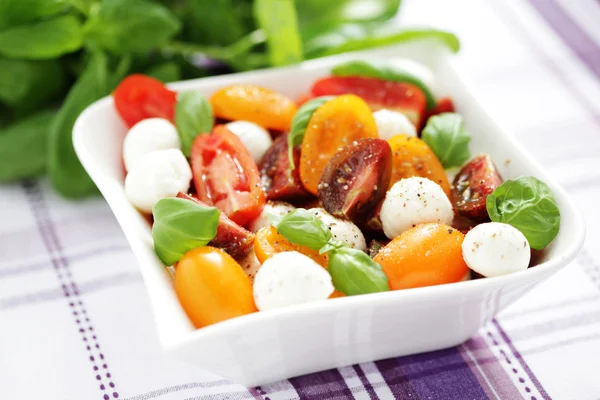Salada de tomate e mussarela — Fotografia de Stock