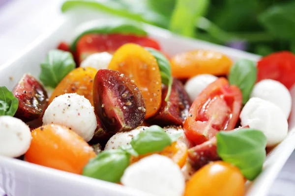 Salada de tomate e mussarela — Fotografia de Stock