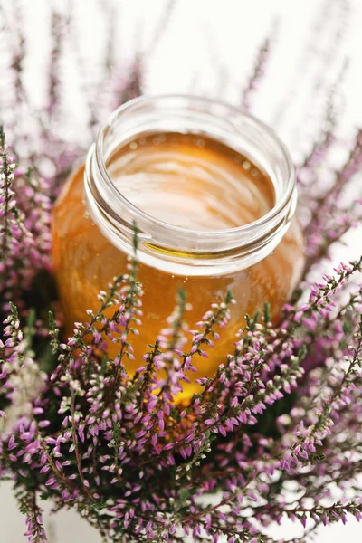 허브 꿀 — 스톡 사진