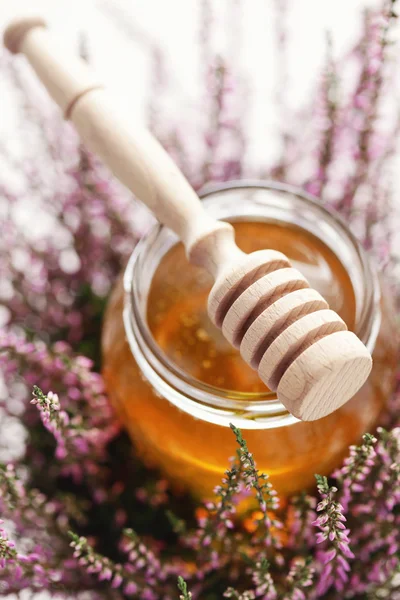 Kruiden honing — Stockfoto