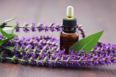 Sage essential oil clipart