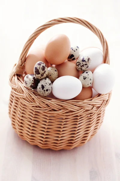 Basket of eggs — Stock Photo, Image