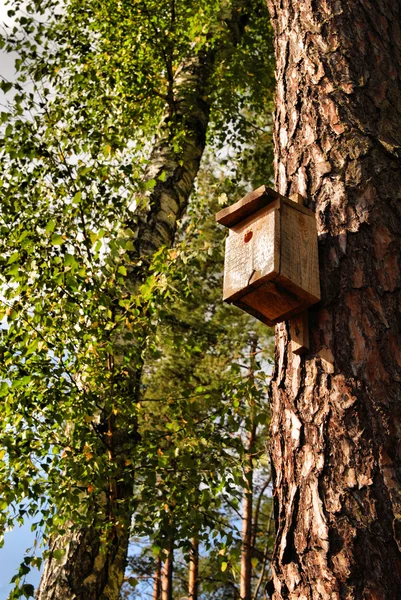 Birdhouse em um tronco de árvore — Fotografia de Stock