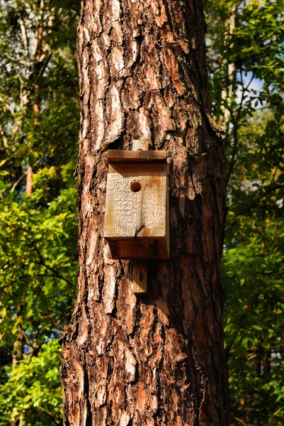 Birdhouse em um tronco de árvore — Fotografia de Stock