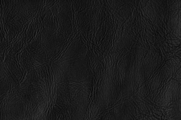 Texture of leather — Stock Photo, Image