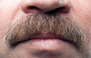 Closeup mustaches and closed mouth of mature caucasian man clipart