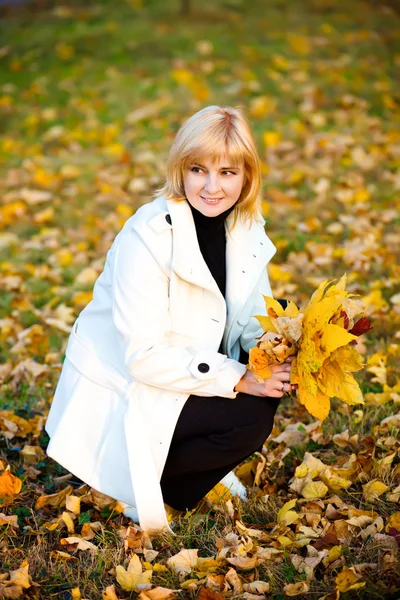 Retrato de mulher bonita no parque de outono — Fotografia de Stock