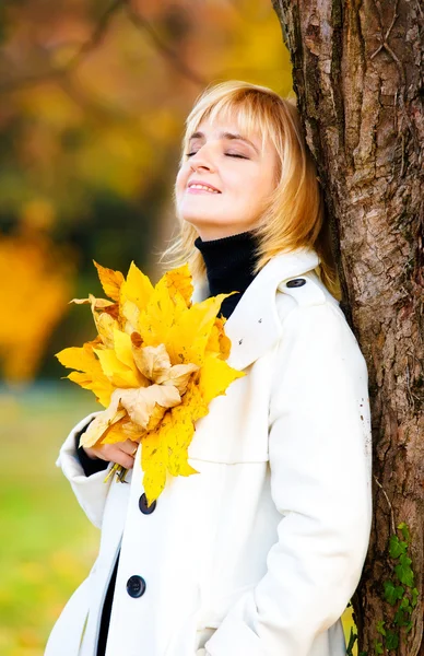 Gyönyörű fiatal nő őszi parkban — Stock Fotó