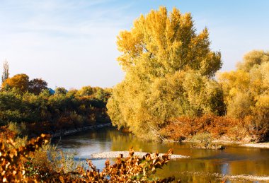 sonbahar manzara Parkı