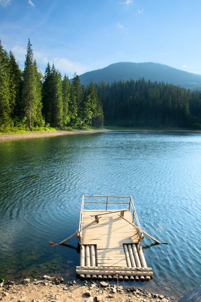 Mysterious Sinevir lake among fir trees. Carpathians. Ukraine — Stock Photo, Image