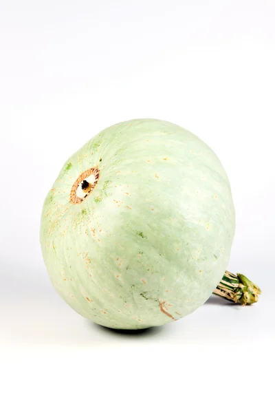Green Pumpkin isolated on white background — Stock Photo, Image