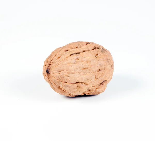 Простой орех изолирован на белом фоне — стоковое фото