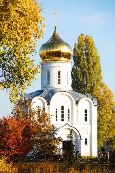 stock image White church surrounded by golden trees