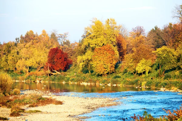 Autumn landscape at the park — Stock Photo, Image