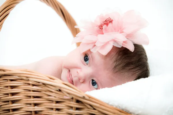 Retrato bebê recém-nascido em cesta — Fotografia de Stock